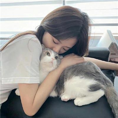 明月守护者海报