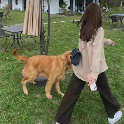 破晓海报
