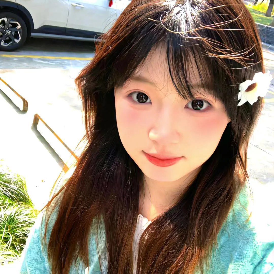 寻找葛莉丝海报