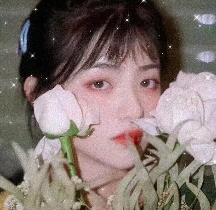 妹子与科学